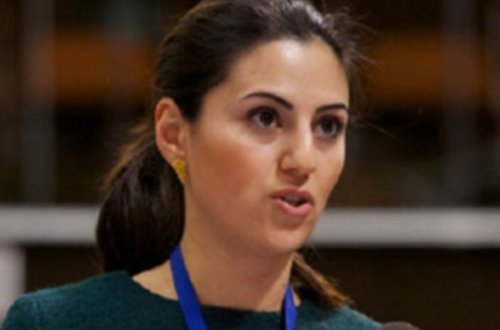 AŞPA-da azərbaycanlı deputatın uşaqların radikallaşdırılmasının qarşısının alınmasına dair məruzəsi dinlənilib