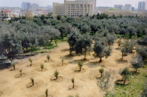 Zərifə Əliyeva adına park kompleksi yenidən qurulur