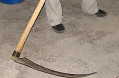 Həmkəndlisini dəryazla doğradı