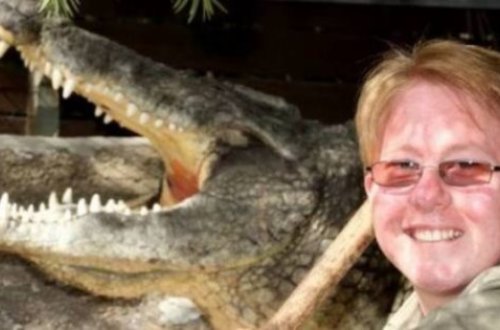 Timsah onunla cinsi əlaqəyə girmək istəyən zoopark işçisini