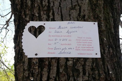 Ermənistanla sərhəd olan kənddən