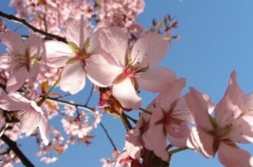 Sabah 22 dərəcə isti olacaq