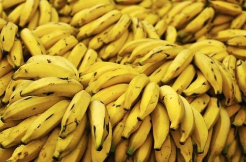 Azərbaycanlı Rusiyada 20 ton banan oğurladı