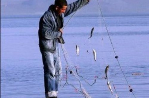 “Həvəskar Balıqçılardan” əcaib şantaj