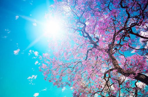 Sabah havanın temperaturu 24 dərəcəyə qalxacaq