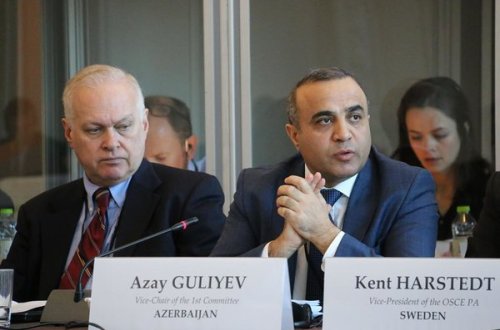 Azay Quliyev ATƏT PA-nı tənqid etdi