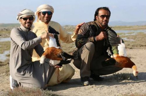 18 milyard dollar sərvəti olan Dubay şahzadəsi Qəbələdə