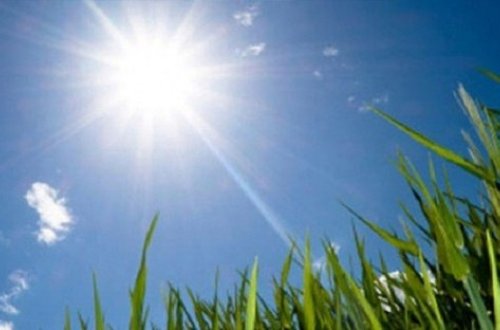 Bu gün 20 dərəcə isti olacaq