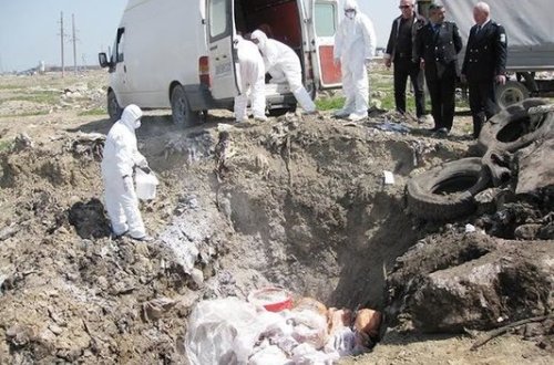 Bakıda satışa çıxarılan 700 kq at əti zərərsizləşdirildi