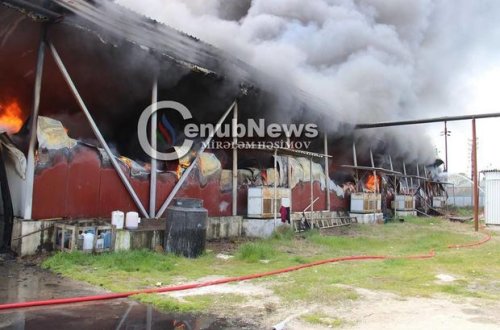 Masallıda güclü yanğın