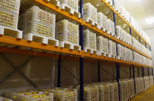 `Anbarlarda 3 min ton alma qalıb`