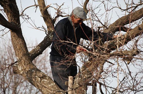 Nazirlikdən polisə şikayə