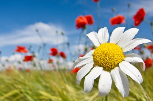 Sabah 19 dərəcə isti olacaq