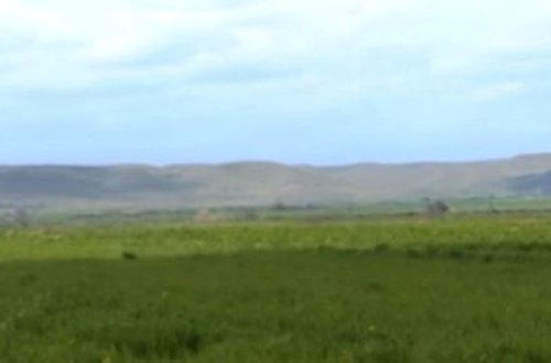 “Lələ təpə”dən son görüntülər