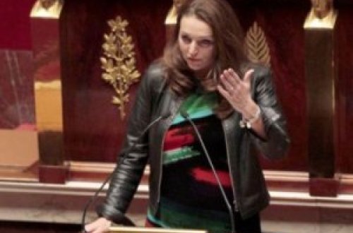 Fransız deputat yüzlərlə erməninin məhv edildiyini etiraf etdi