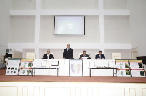 Cəlilabadda üzümçülüyün elmi əsaslarla inkişafının əsas istiqamətləri müzakirə edilib