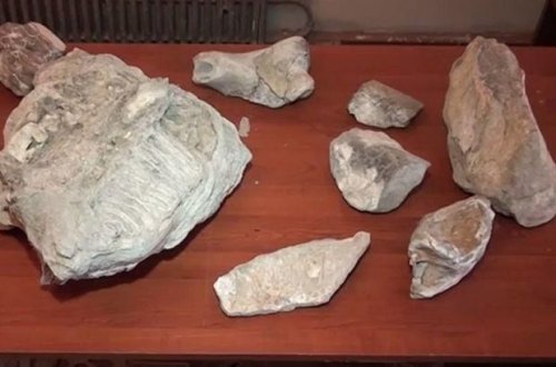 Mingəçevirdə 4 milyon illik fil sümükləri tapıldı