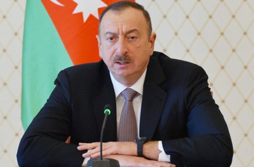 Yeni yaradılan quruma baş icraçı direktor