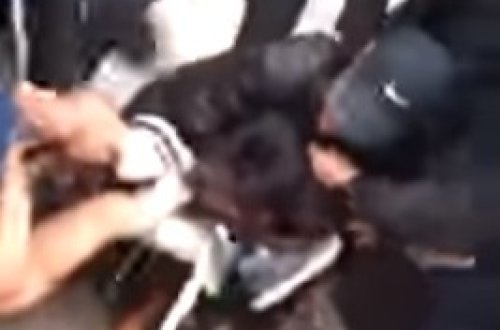 İt şəhərin mərkəzində qəfil uşağa hücum çəkdi