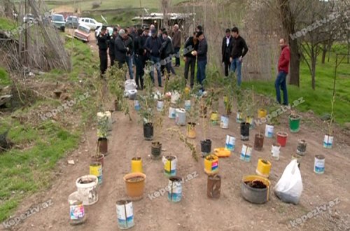 Rayonda narkoplantasiya aşkar edildi