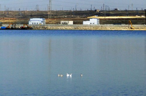 Dünya Bankı Abşeron göllərinin təmizlənməsinə kömək edəcək
