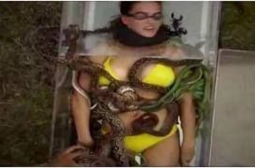 Realiti-şouda həşəratlar qadına hücum etdi