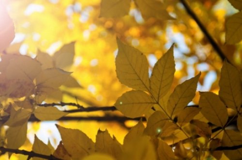 Günəşli hava geri qayıdır