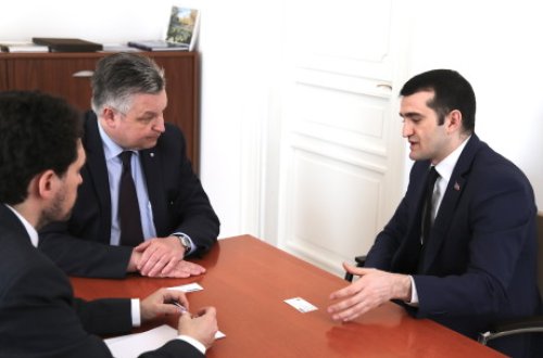 Əhməd Şahidov ATƏT DTİHB rəhbəri Michael Georg Link ilə görüşüb