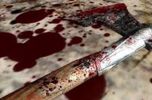 Yaşlı ər-arvadı baltalayan onların kürəkəni çıxdı