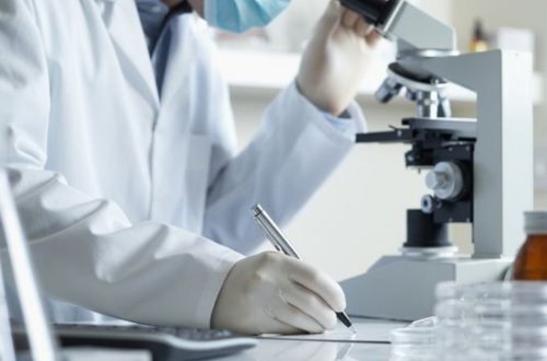 Yaponiya təhqiqatçıları mini-qaraciyər yaratdı