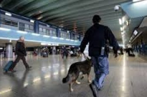 Təyyarədə Bakıya narkotik gətirmək cəhdi