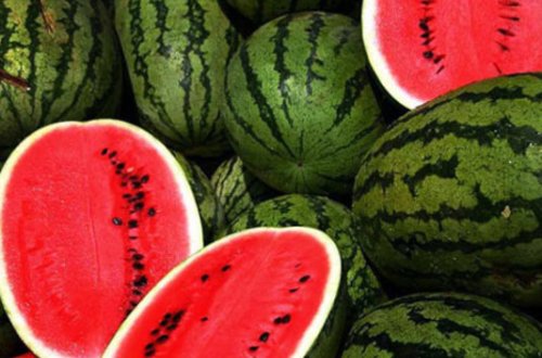 7 nəfər qarpızdan zəhərləndi