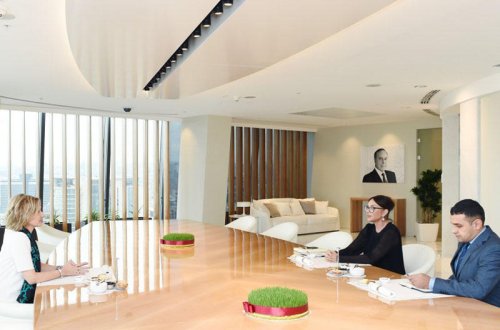 Azərbaycanın birinci xanımı Mehriban Əliyeva Almaniyanın ölkəmizdəki səfiri ilə görüşüb