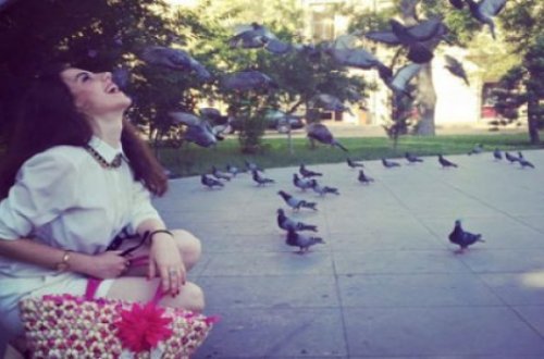 Tələbə qızın intihar olayında şok gəlişmə