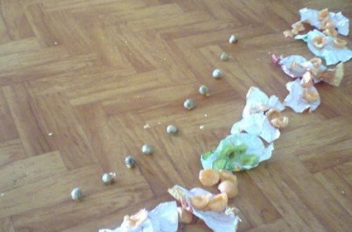 Birinə babası, digərinə dayısı narkotik gətirdi