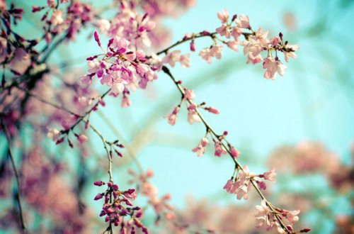 8 marta olan hava proqnozu açıqlandı