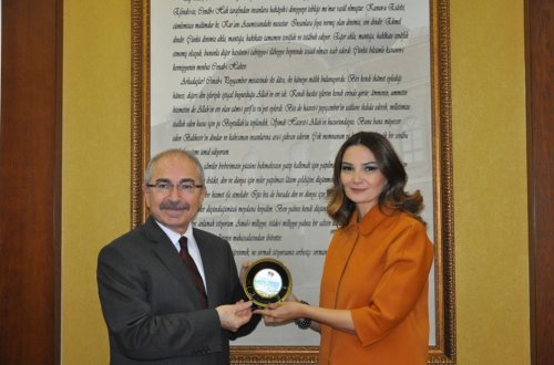 Qənirə Paşayevanın Balıkesir valisinə qardaş bölgələr təklifi dəstəklənib