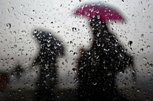 Bu günün hava proqnozu