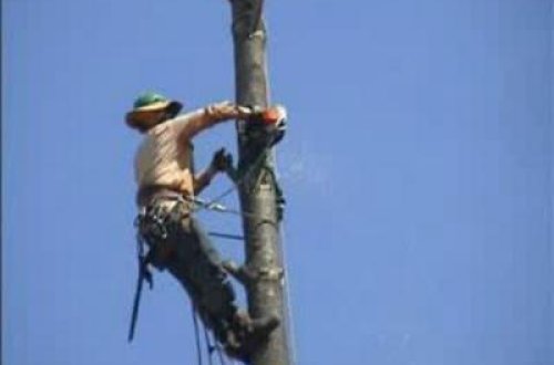 Montyoru “tok” vurdu, öldü