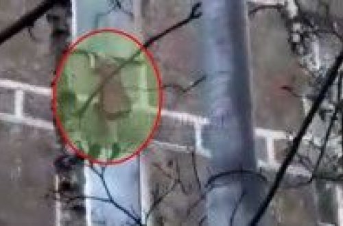 Yaşlı qadın eyvandan belə yıxıldı VİDEO