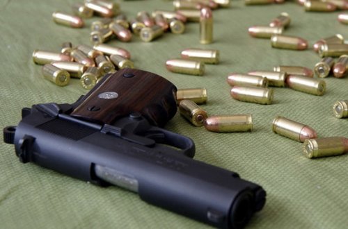 Bakı sakinindən “Naqan” götürüldü