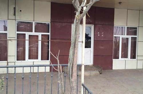 Polkovnikin oğlunun bıçaqlandığı kafe bağlandı