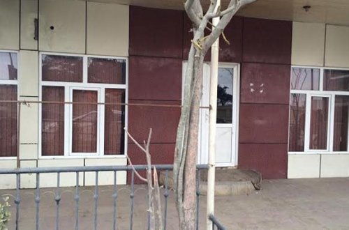 Polkovnikin oğlunun bıçaqlandığı kafe bağlandı