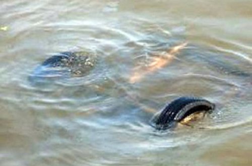 Maşını ilə kanala düşüb boğuldu