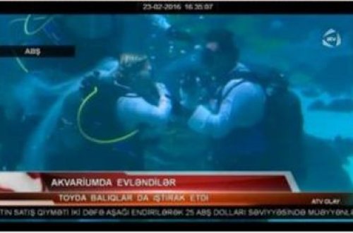 Akvariumda evləndilər