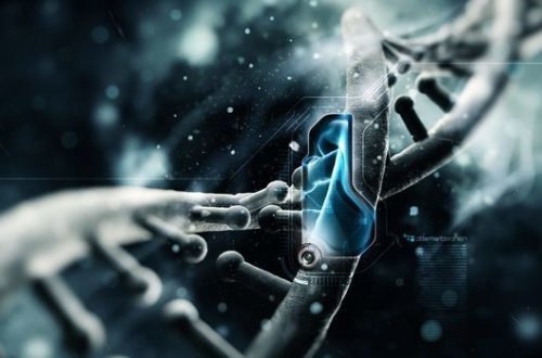 Dənizdə meyiti tapılan şəxsdən DNT analiz götürüləcək