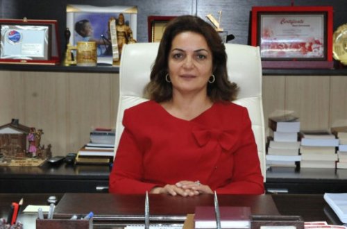 Eks-azərbaycanlı rektor vəzifədən çıxarıldı