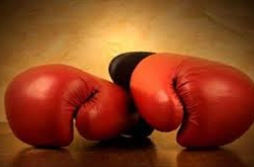 Boks üzrə Azərbaycan millisi ABŞ-a yollanıb