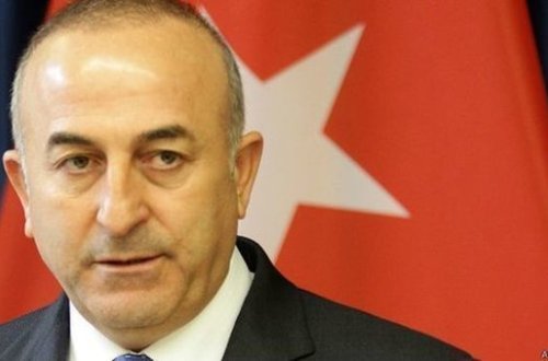 Çavuşoğlu Avstriyanı irqçilikdə
