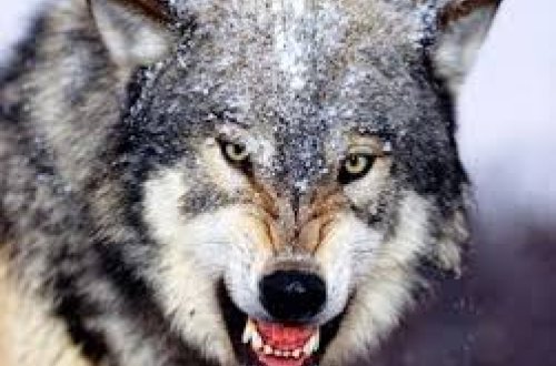 Azərbaycanda 17 mindən çox insan təhlükədə